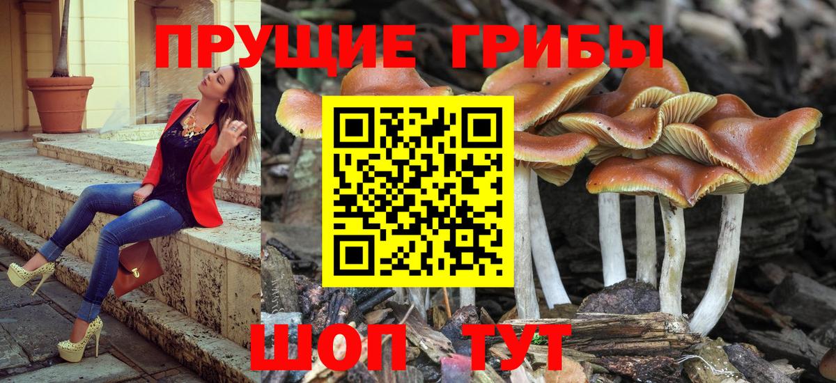 Псилоцибиновые грибы ЛСД Санкт-Петербург